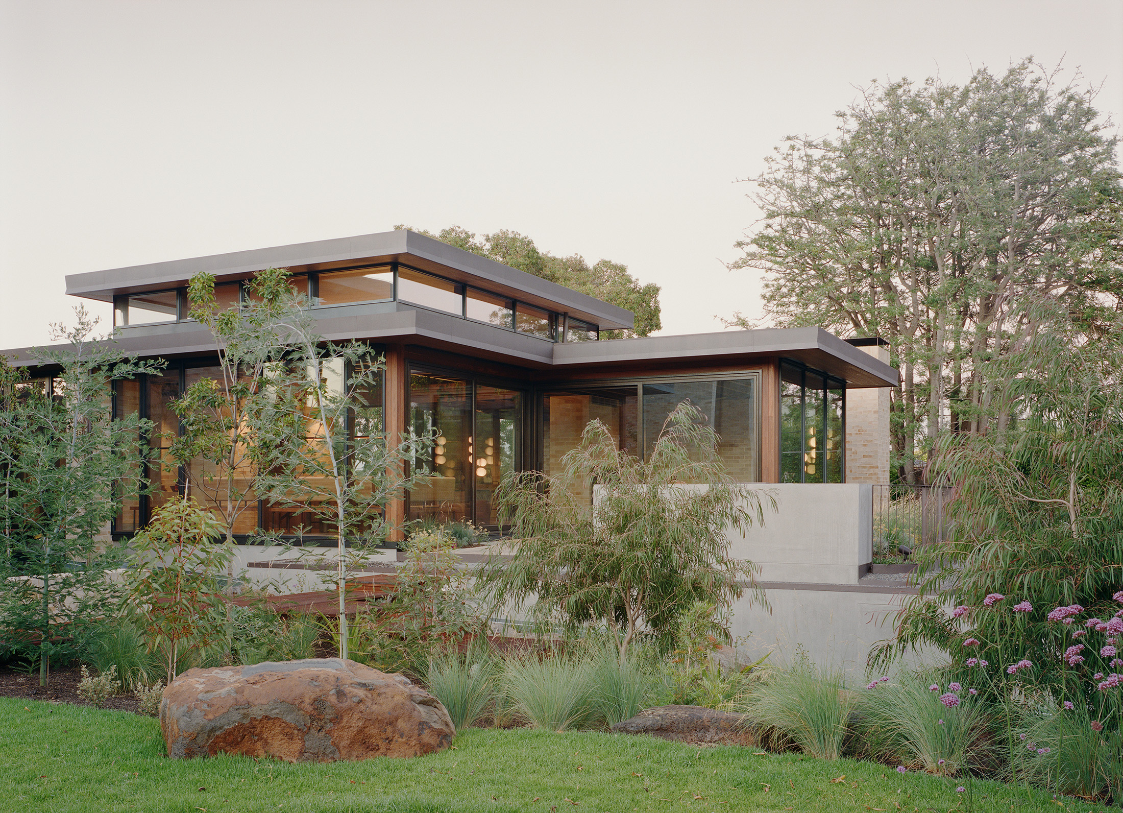 Modern residential glass pavilion by Archier featuring a flat roofline and timber framing. The mid-century inspired architecture overlooks a landscaped native Australian garden with ornamental grasses, a large feature boulder, and a lush green lawn.