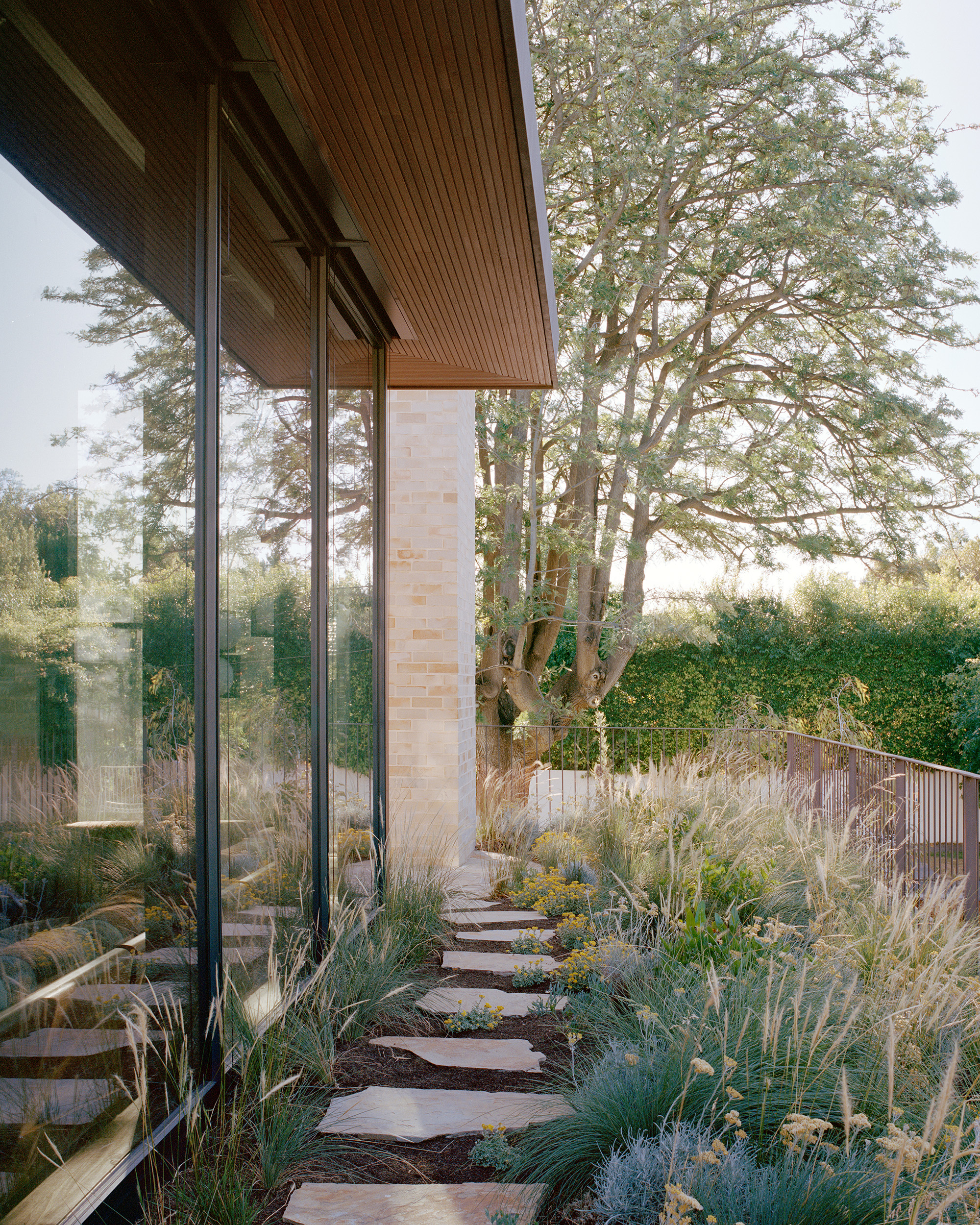 A narrow flagstone pathway cuts through a dense native grass garden alongside a towering glass wall facade. The reflective windows mirror the surrounding mature trees, emphasizing an integrated indoor-outdoor design.