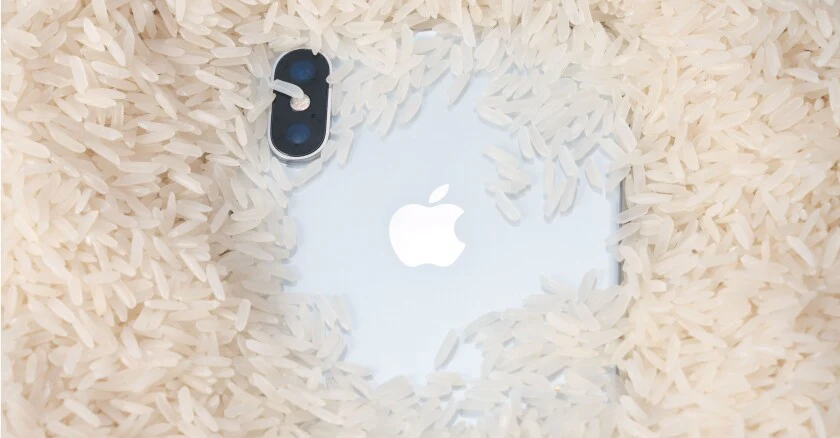 Dropped Your Phone in Water? Here's What to Do | Summit Phone Repair