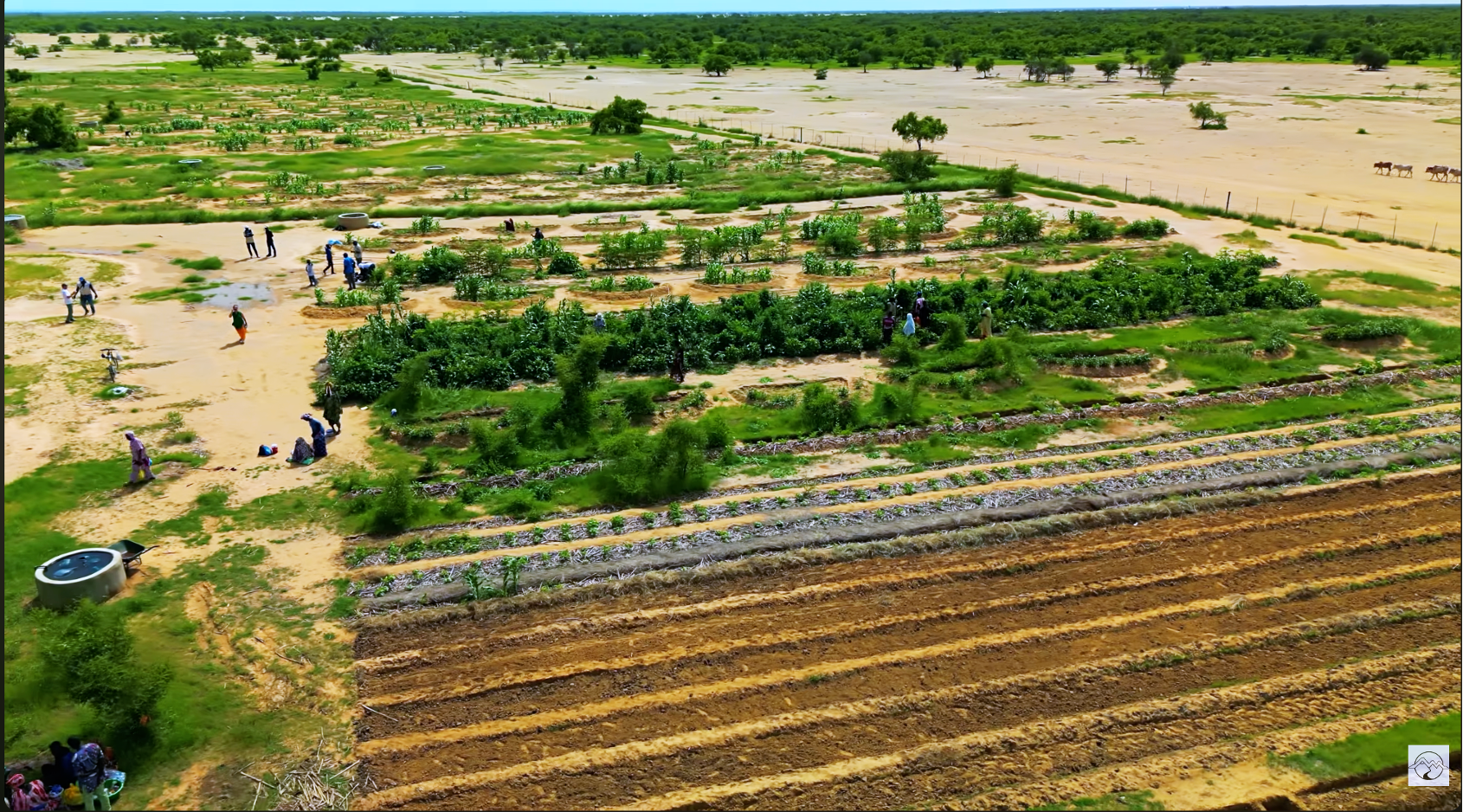 News Main Image