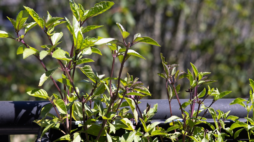 A Blog Cover Single Image