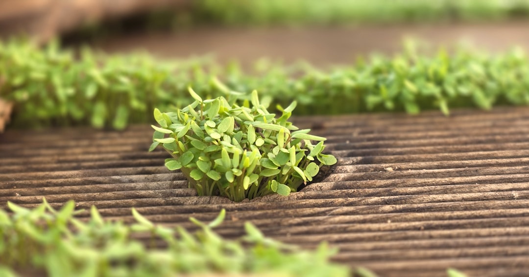 A Blog Cover Single Image