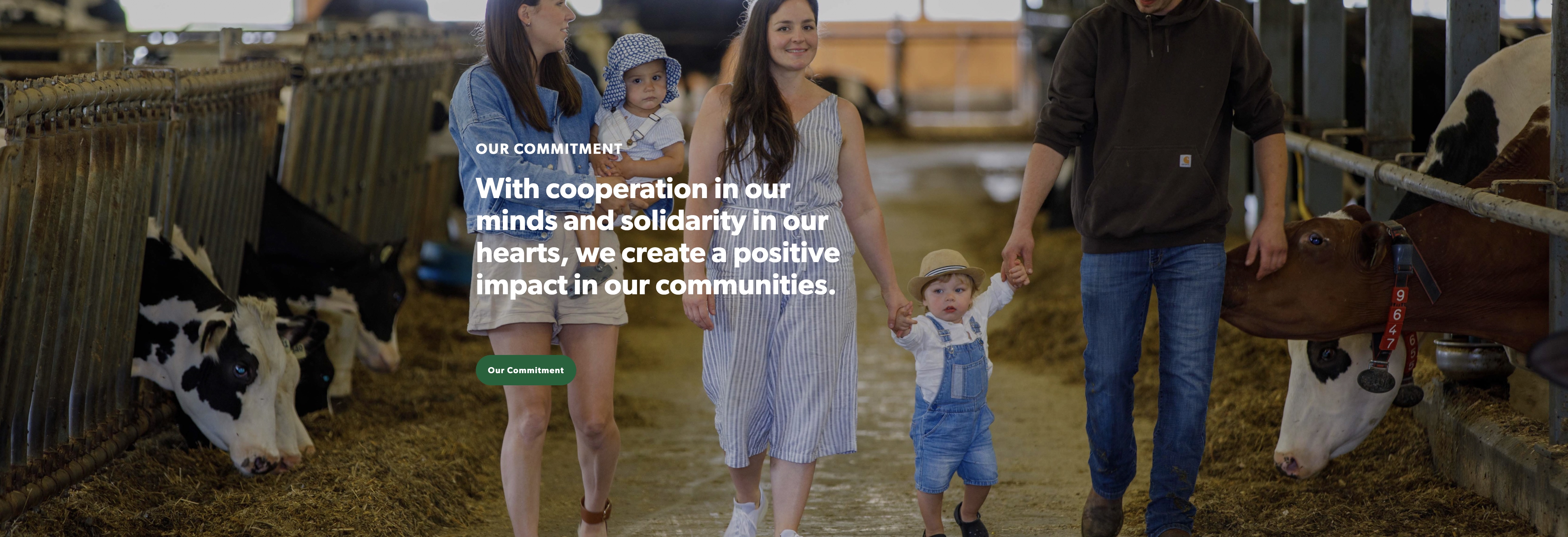 Hero band with white headline type set over a photograph with a green wash and gradient — placeholder, replace with Figma export