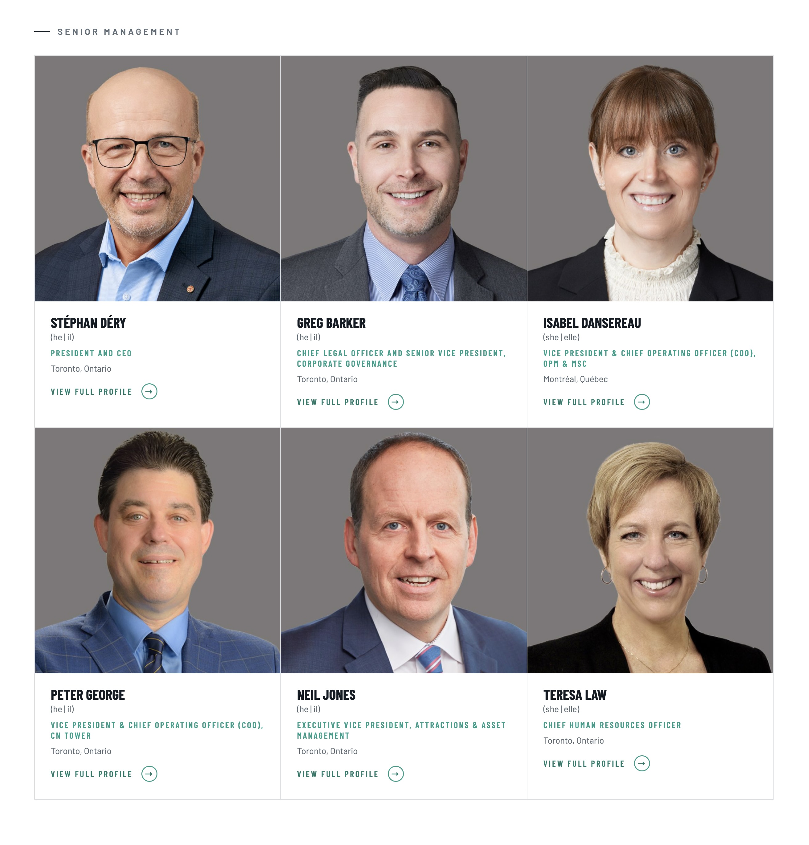 Governance page: a senior management grid of six headshot cards, each with name, title, location and a 'view full profile' link.