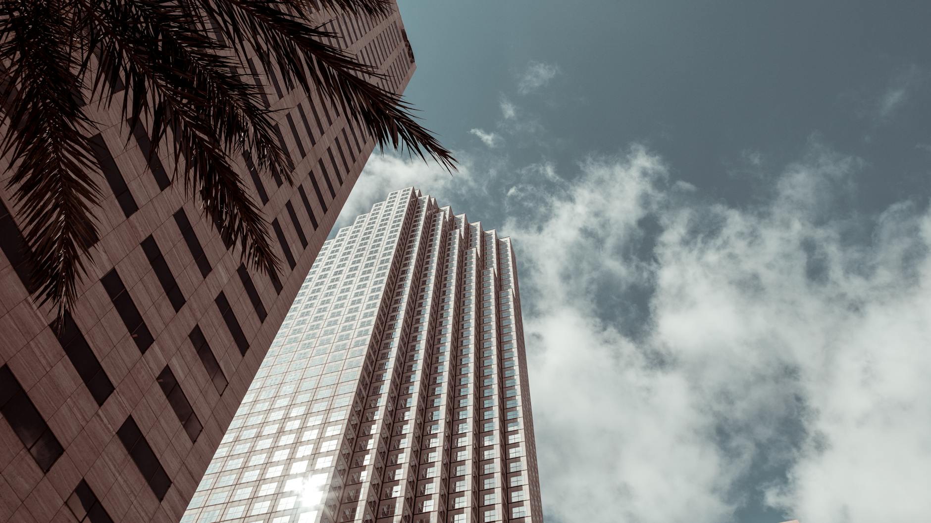 Low angle view of a modern skyscraper in Miami with palm trees and a cloudy sky.