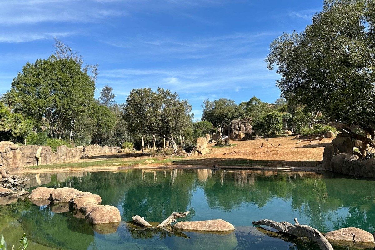 Tranquil pond landscape at Escondido Safari Park, California, under a clear blue sky.