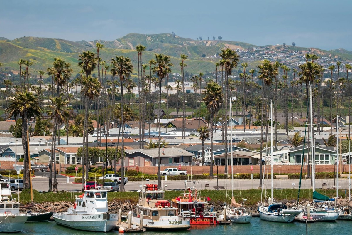 Vibrant coastal town with moored boats, palm trees, and rolling hills under a clear sky.