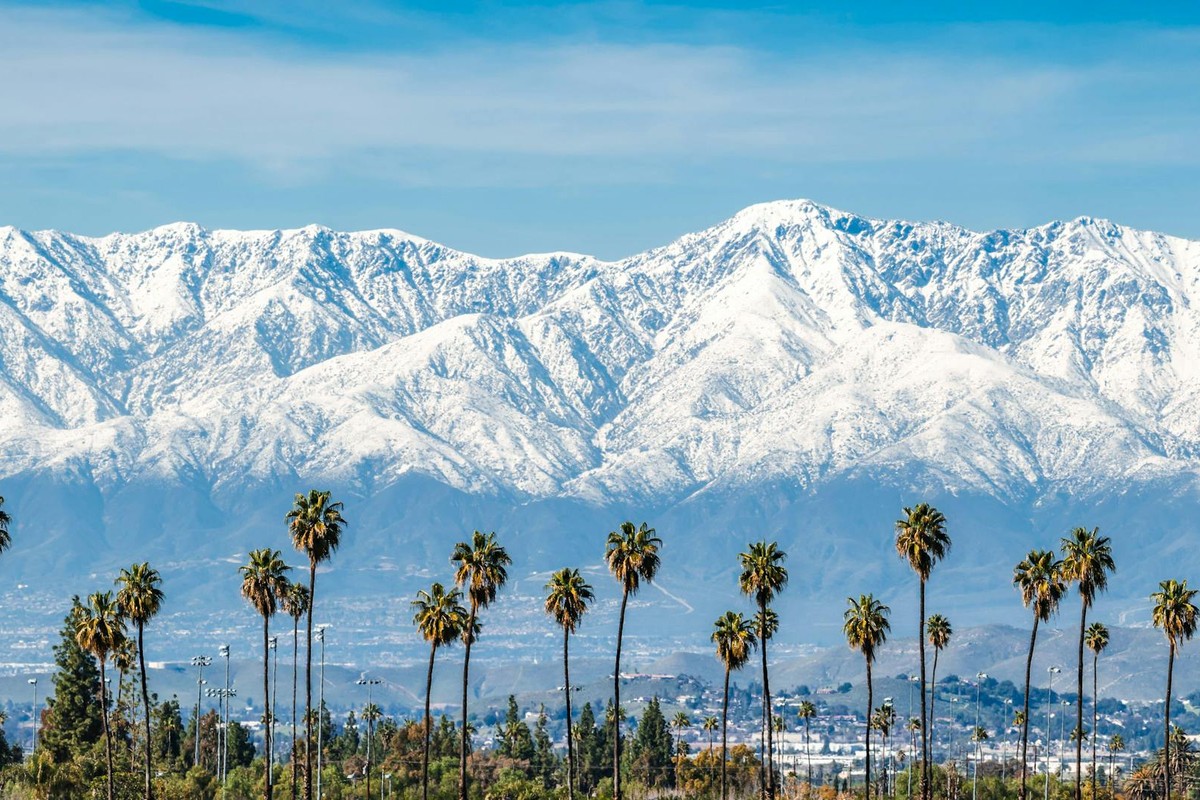 Snowy mountains behind a row of palm trees in sunny California.