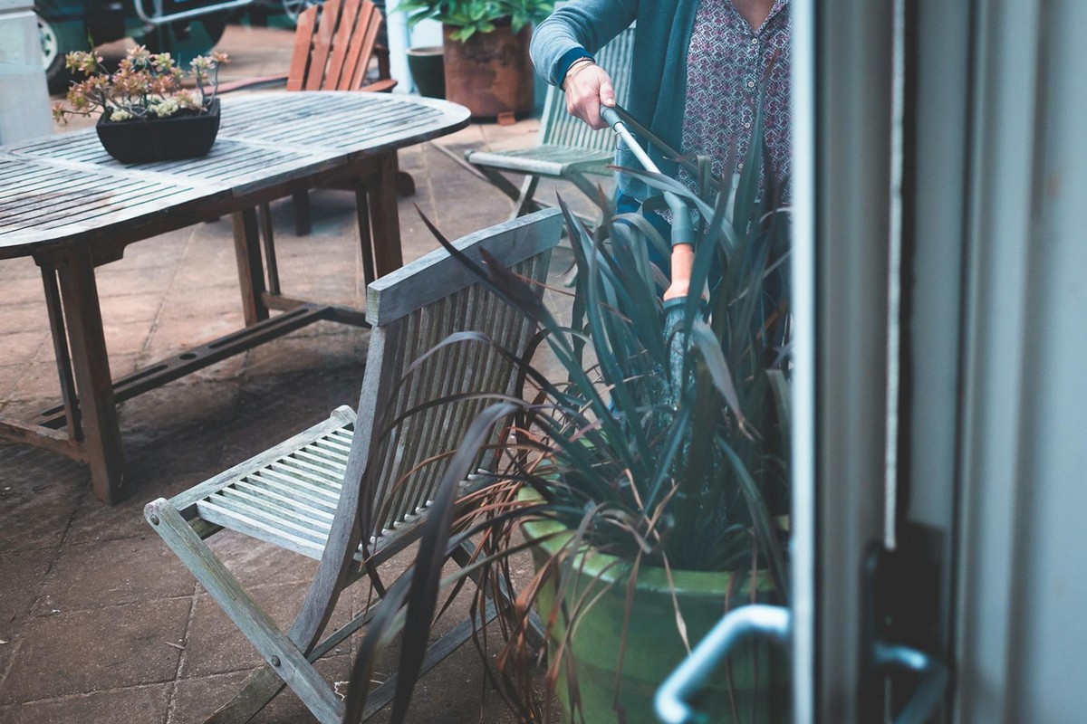 Through window crop anonymous female in casual clothes watering big potted plant from hosepipe in backyard