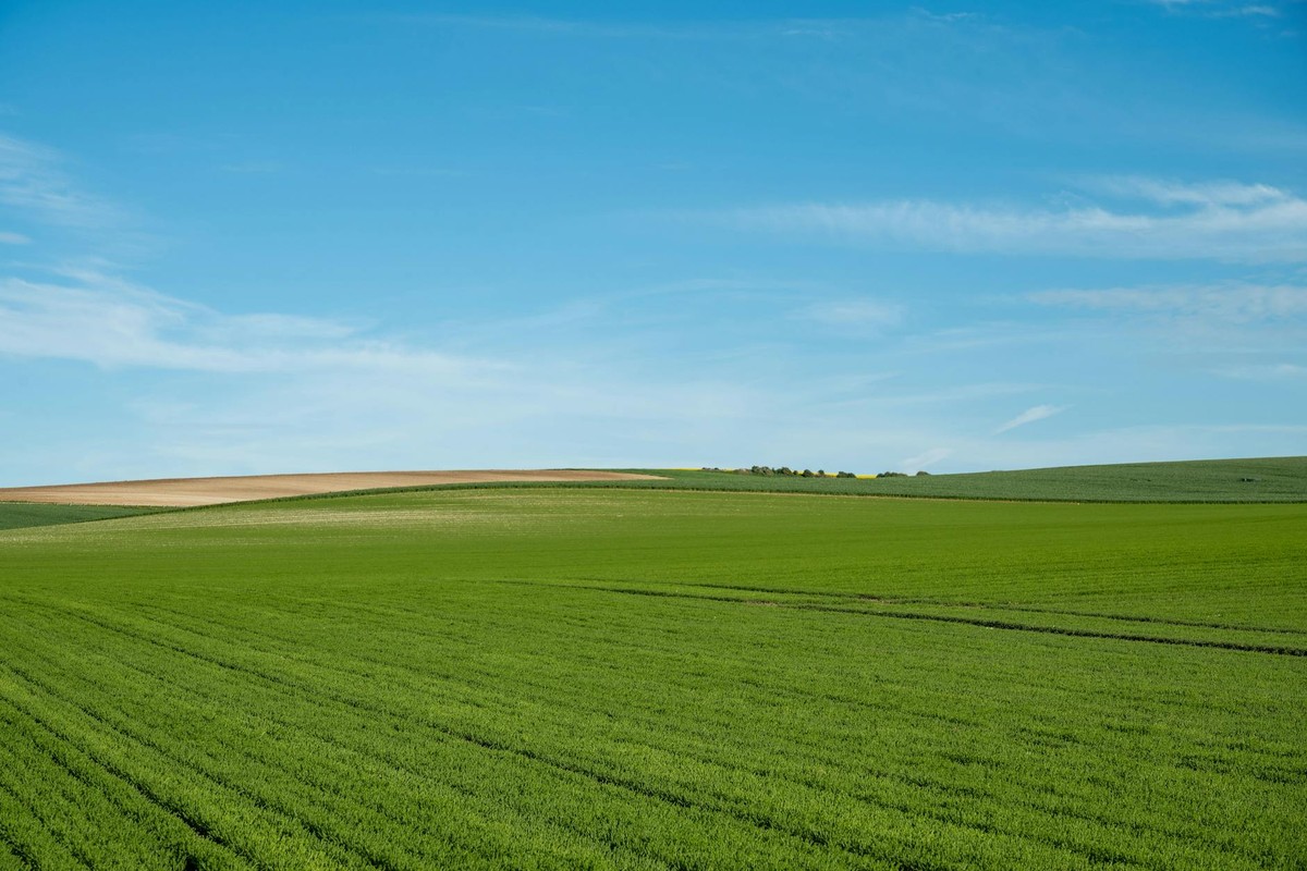 Expansive green fields under a clear blue sky in Escalles, Hauts-de-France, perfect for nature lovers.