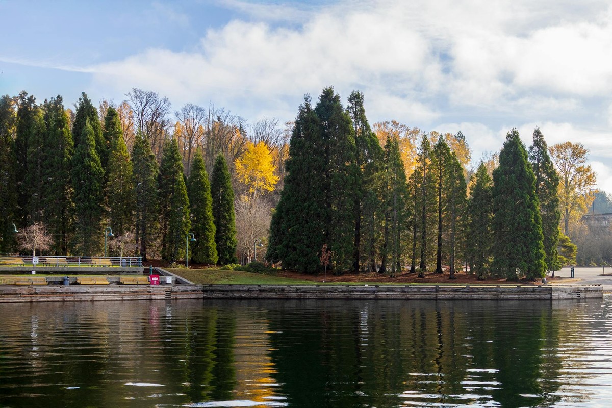 Serene view of a lakeside park with evergreen trees in autumn. Calm reflection in the water.