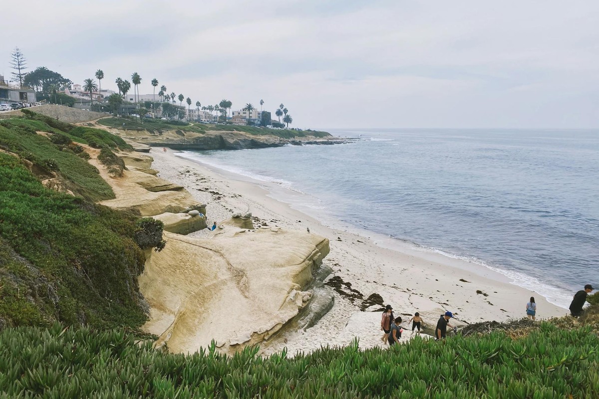 A beautiful coastal landscape at La Jolla Shores, California, featuring rugged cliffs, sandy beaches, and distant palm trees.