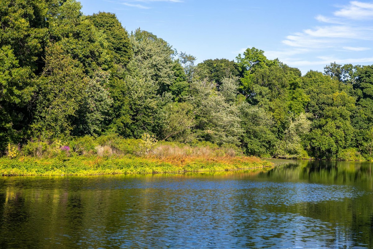 Tranquil lake with lush green trees in Waltham, MA, perfect for nature lovers.