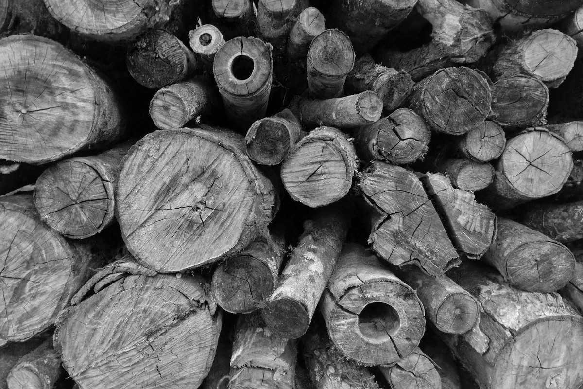 Close-up black and white photo of a stacked pile of wooden logs showing natural textures.