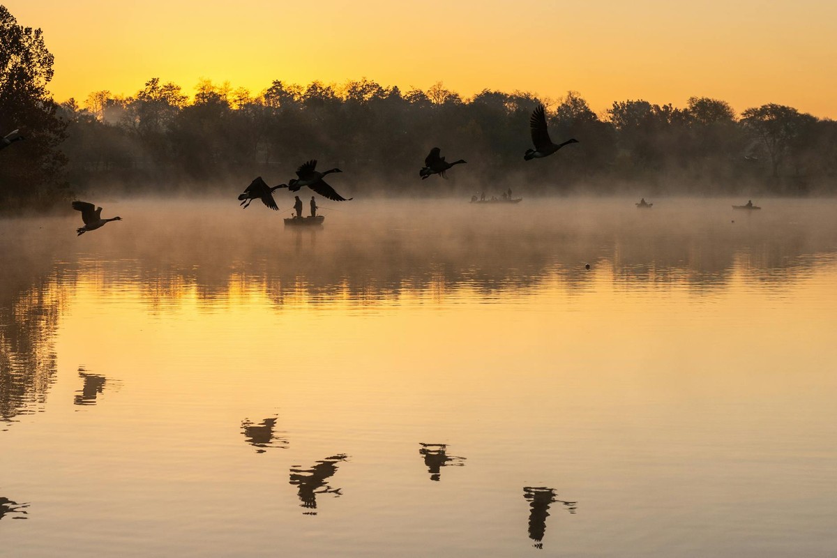 Tranquil sunrise scene with geese and mist over a lake in Shawnee, KS.