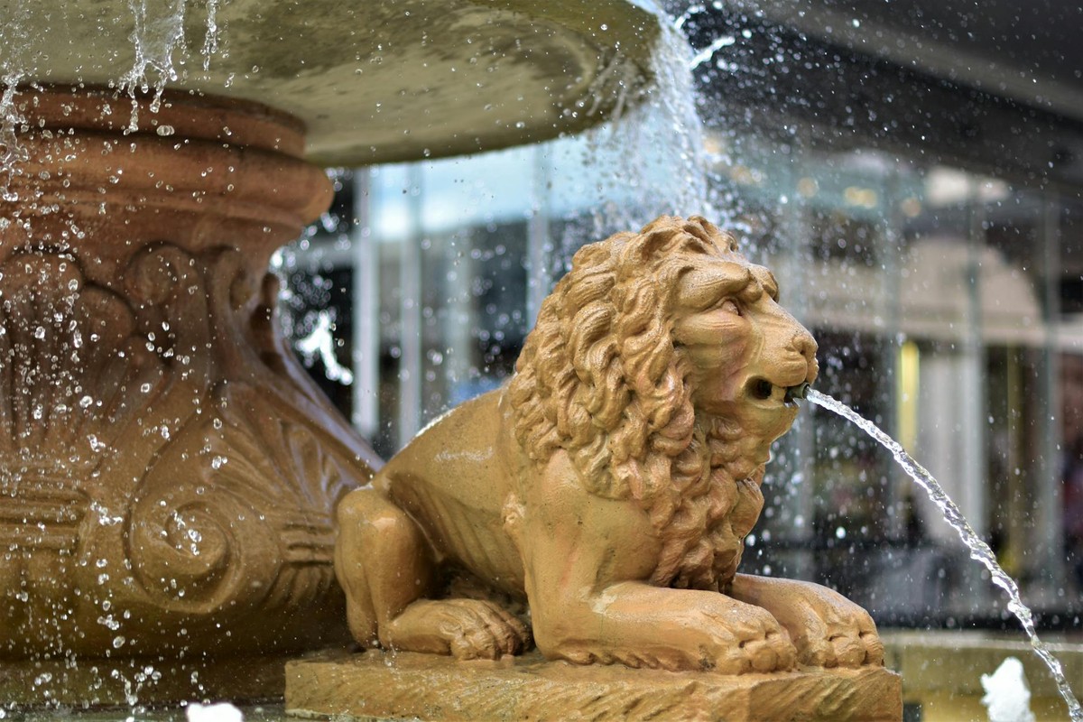 Close-up of a lion statue in a fountain, with water splashing, creating a dynamic scene.