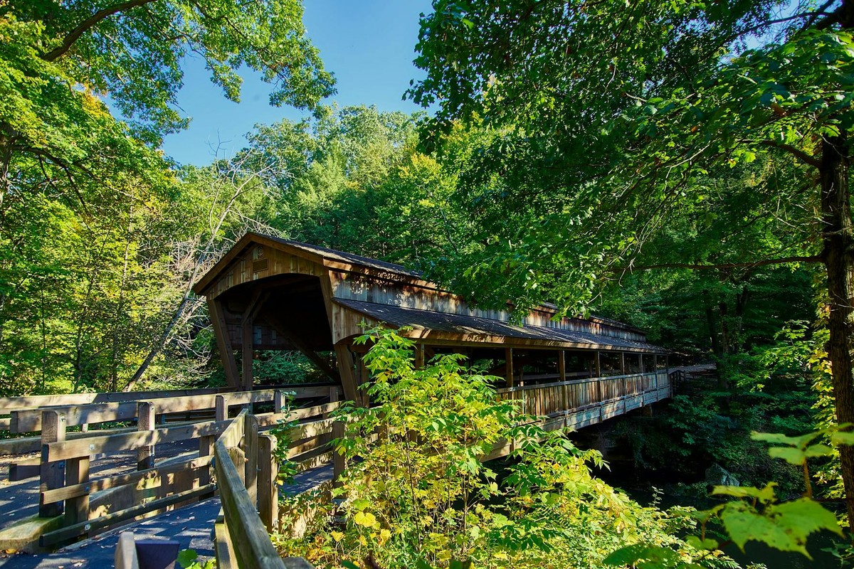 Beautiful wooden covered bridge in a vibrant summer forest in Youngstown, Ohio, showcasing natural rustic charm.