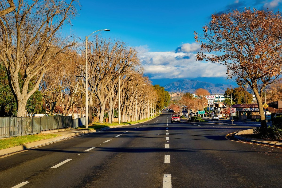 Sunny day view down a tree-lined avenue with clear skies and distant mountain range.