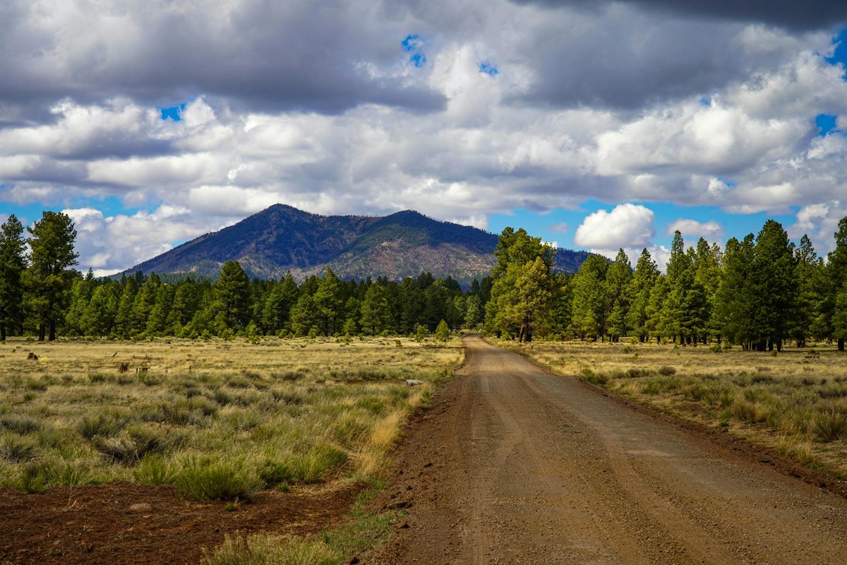 A picturesque dirt road in Flagstaff, Arizona with mountains and lush greenery under a cloudy sky.