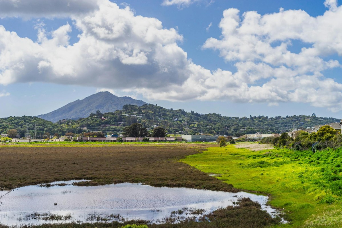 Lush countryside landscape featuring a prominent hill and reflective puddle under a cloudy sky.