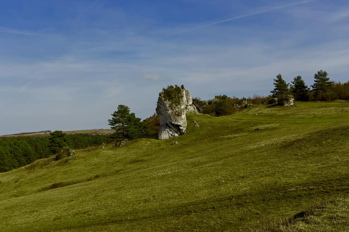 Explore the natural beauty of a limestone hill in the picturesque Polish Jura upland landscape.
