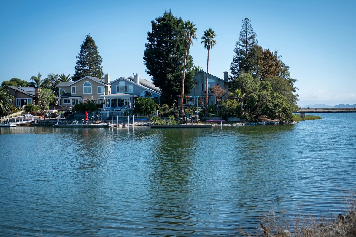 Charming lakeside homes surrounded by trees and calm water under a sunny sky.