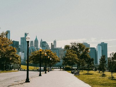 A serene city park with a scenic view of an urban skyline and green trees on a sunny day.