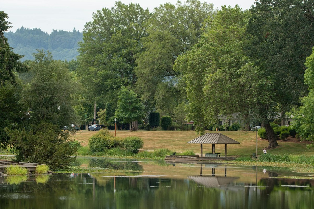 Peaceful summer scene at Lake Sacajawea Park with lush greenery and water reflections.