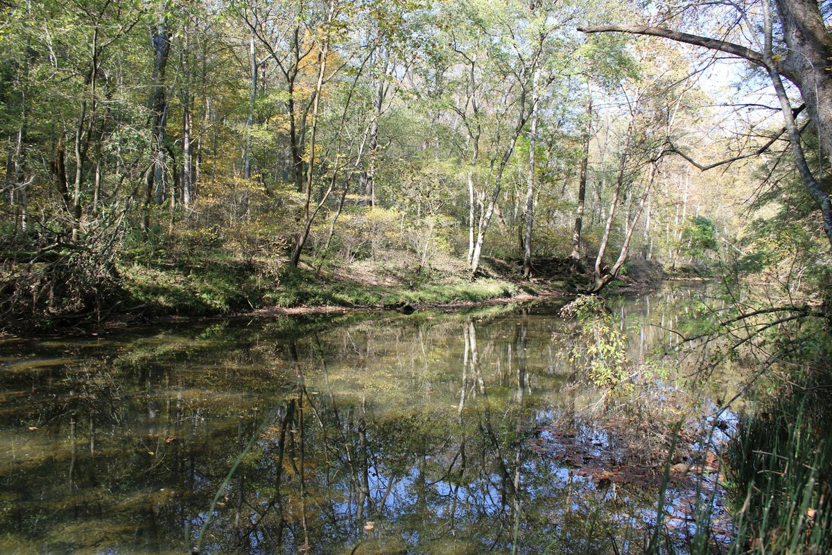 Tranquil view of a forest creek with tree reflections in Ohio.
