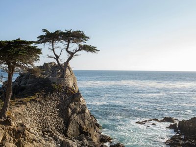 Breathtaking view of a lone cypress tree on rocky shores by the ocean under a clear sky.