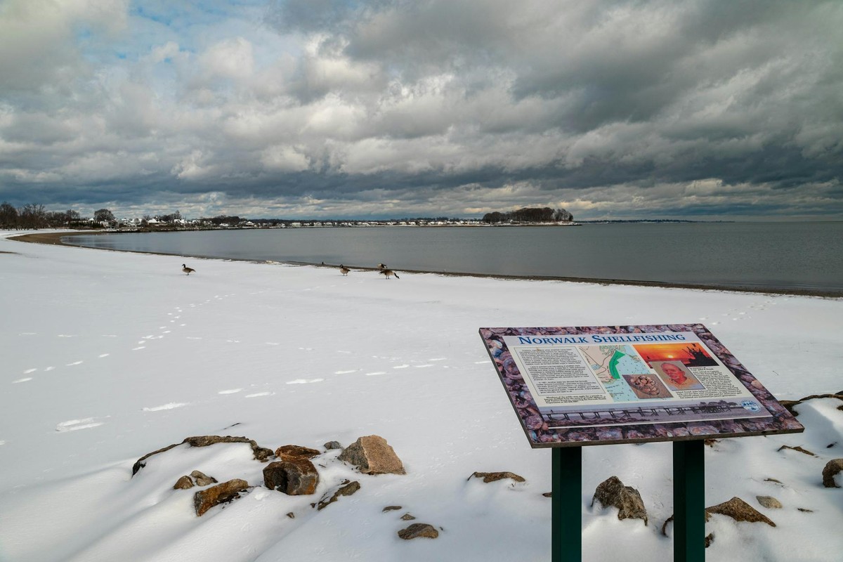 Snow-covered beach with a Norwalk Shellfishing sign under cloudy skies.