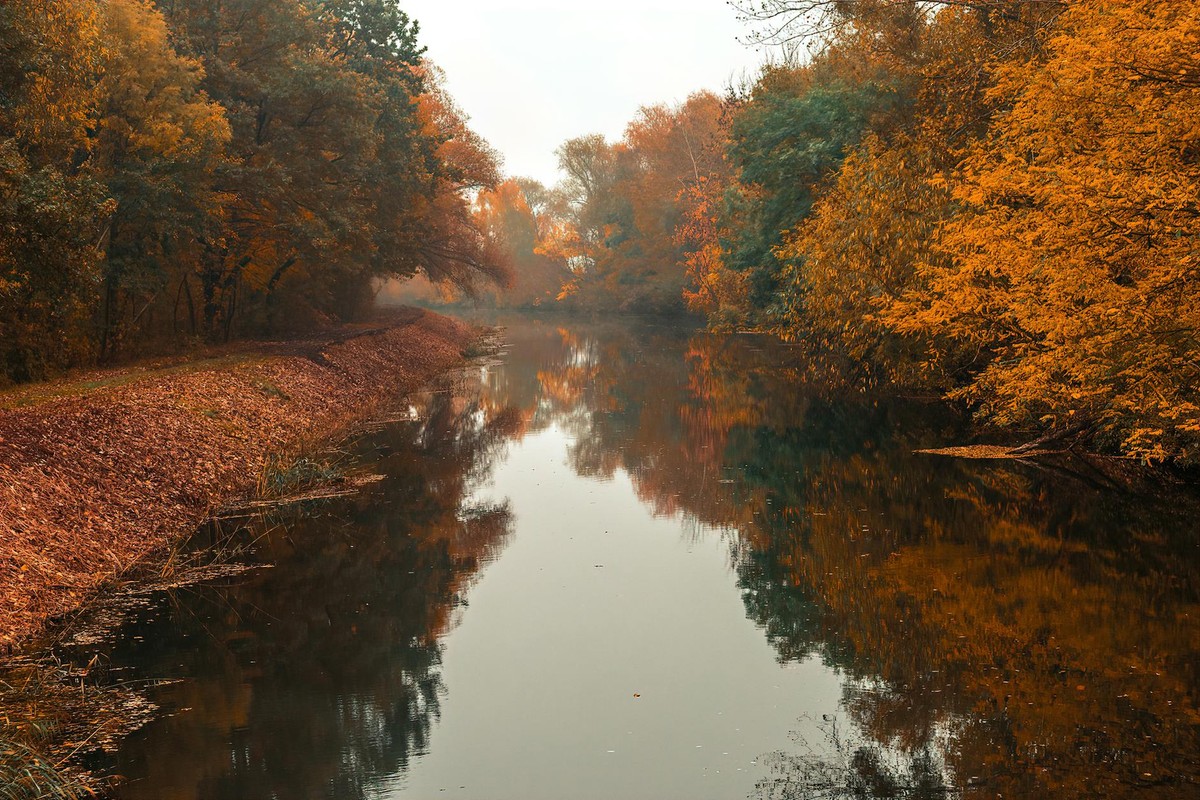 A serene view of an autumn canal lined with colorful foliage in Konin, Poland.