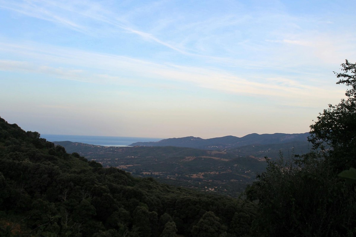 Stunning view of a vast countryside landscape with hills and trees at dusk.