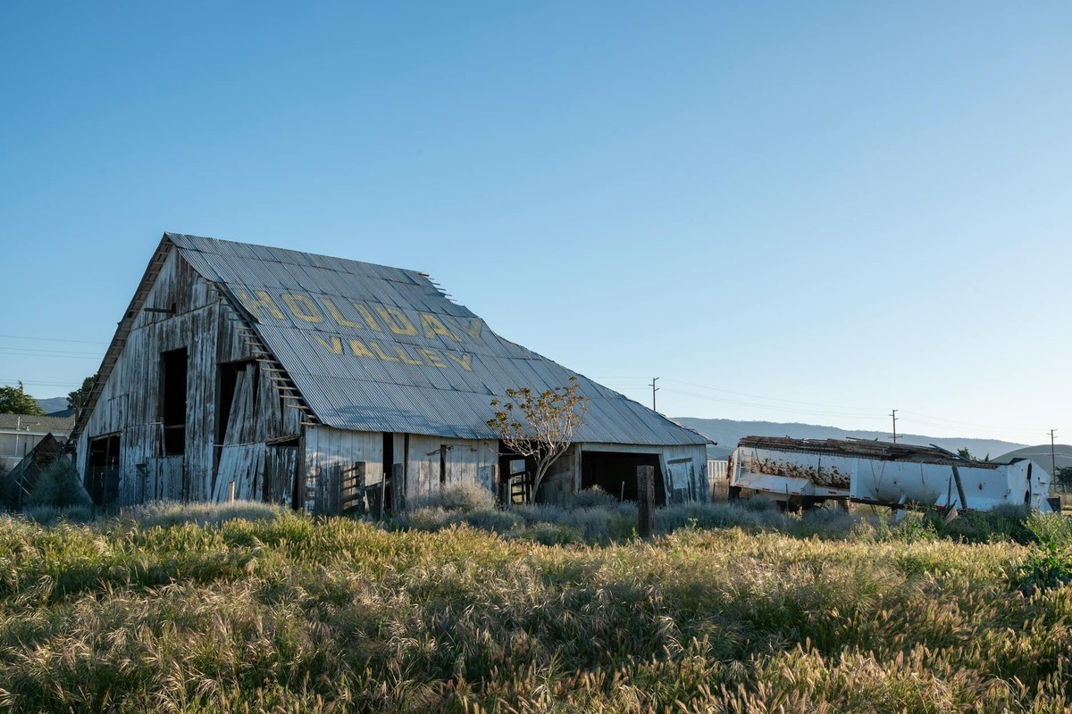 Sunlit abandoned barn in Neenach, California landscape, surrounded by wild grass.