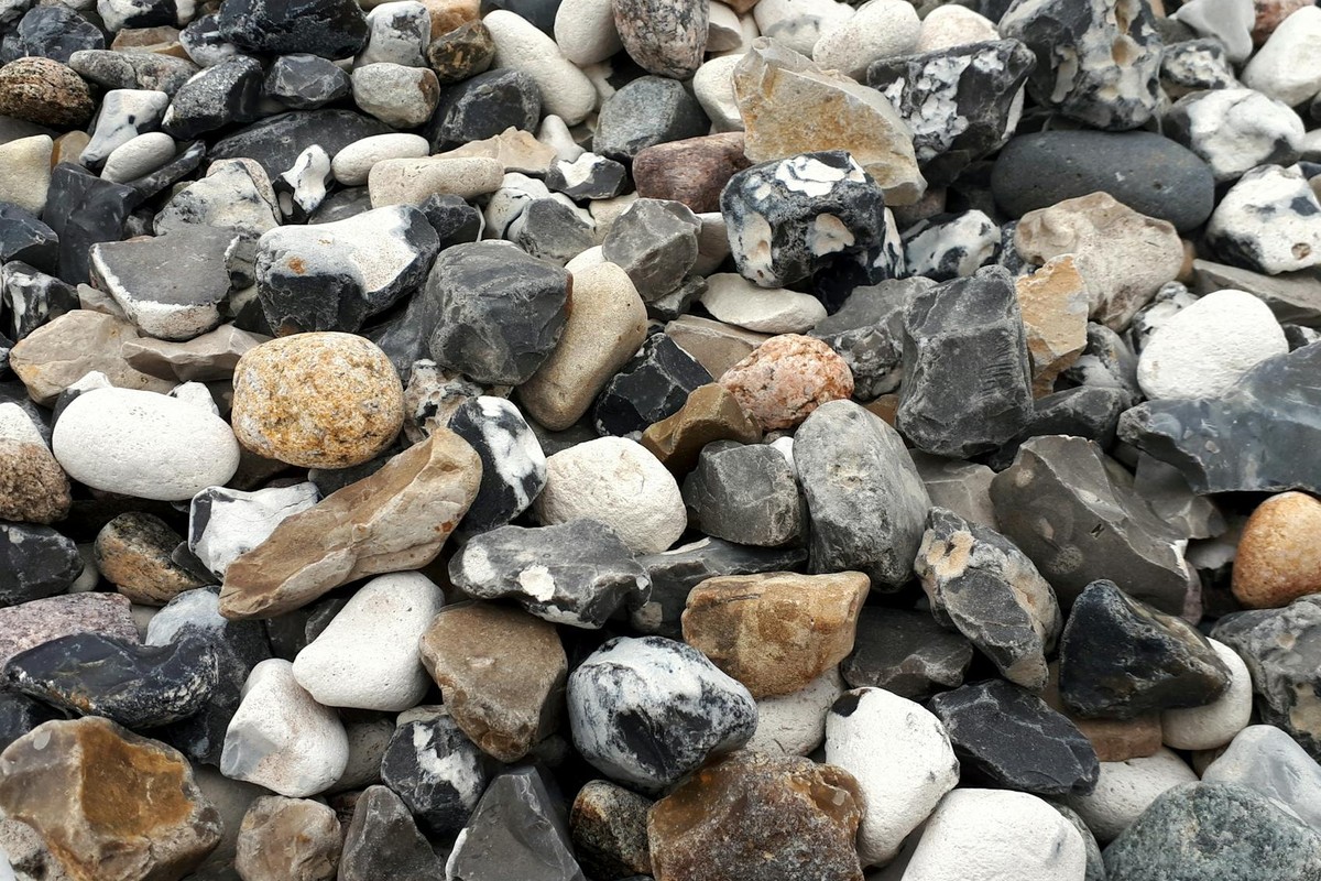 Close-up view of assorted pebbles in various colors and textures found on a beach.