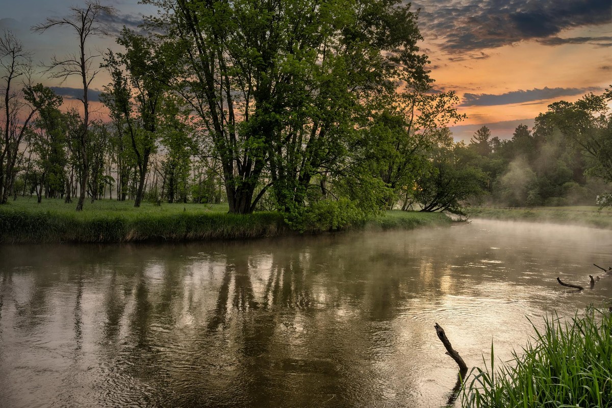 Tranquil river scene at sunset with mist and lush forest trees in serene wilderness.