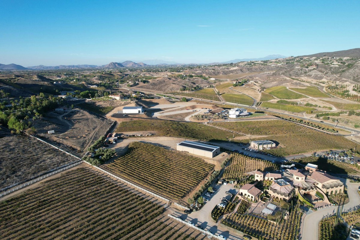 A scenic aerial view of vineyards and countryside in Temecula, California, USA, captured with a modern drone.