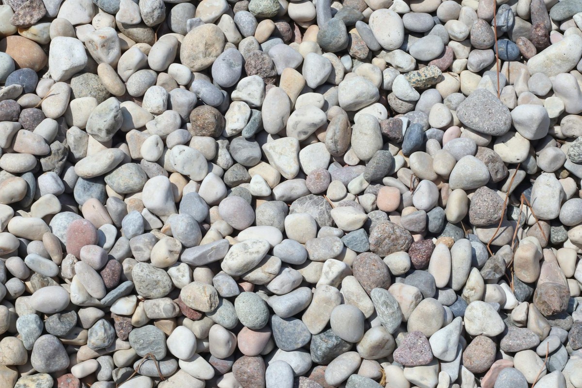 Vibrant assortment of pebbles in natural outdoor setting, showcasing diverse textures and colors.