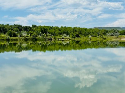 Scenic view of a reflective lake surrounded by dense green forest under a bright summer sky.