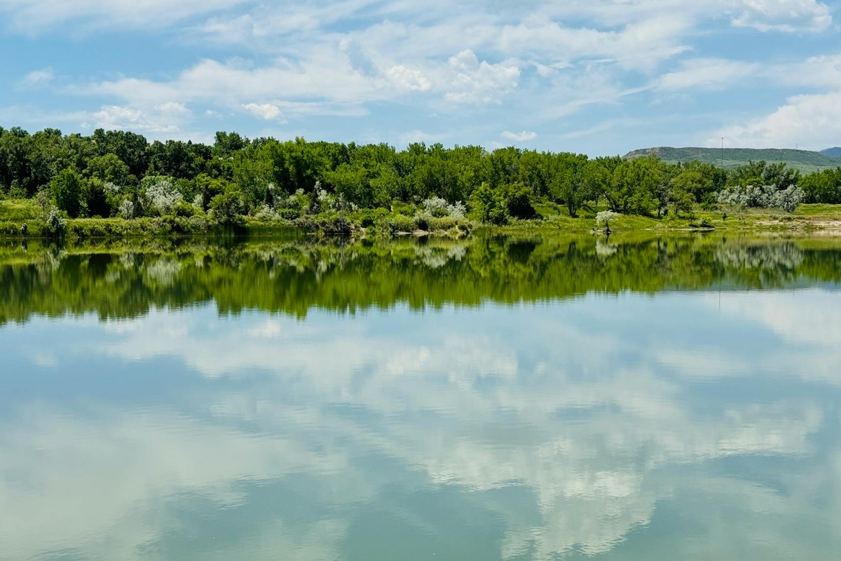 Scenic view of a reflective lake surrounded by dense green forest under a bright summer sky.