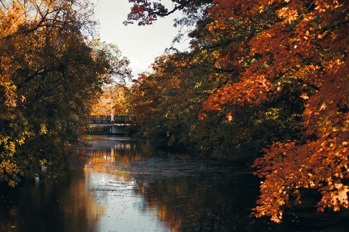 Beautiful autumn scenery with vibrant fall foliage by the river in East Lansing, Michigan.