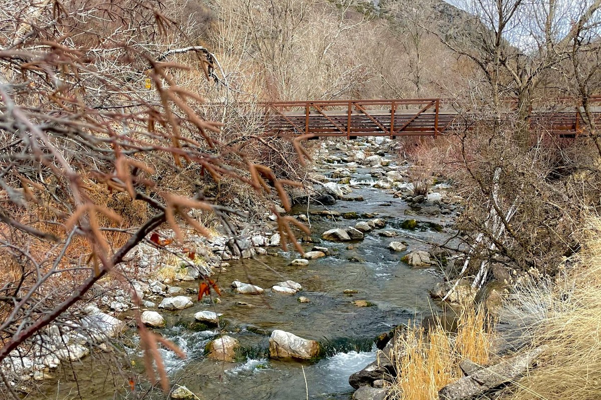 Picturesque autumn stream flowing under a rustic wooden bridge surrounded by nature.