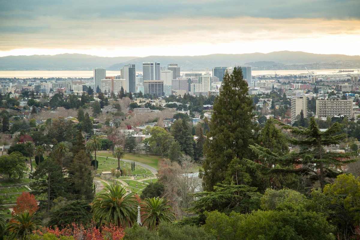 View of Oakland skyline with lush greenery and bay in the background showcasing urban nature harmony.