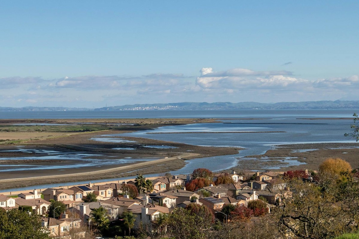 Aerial view of residential area with coastal bay and mountains in the background.