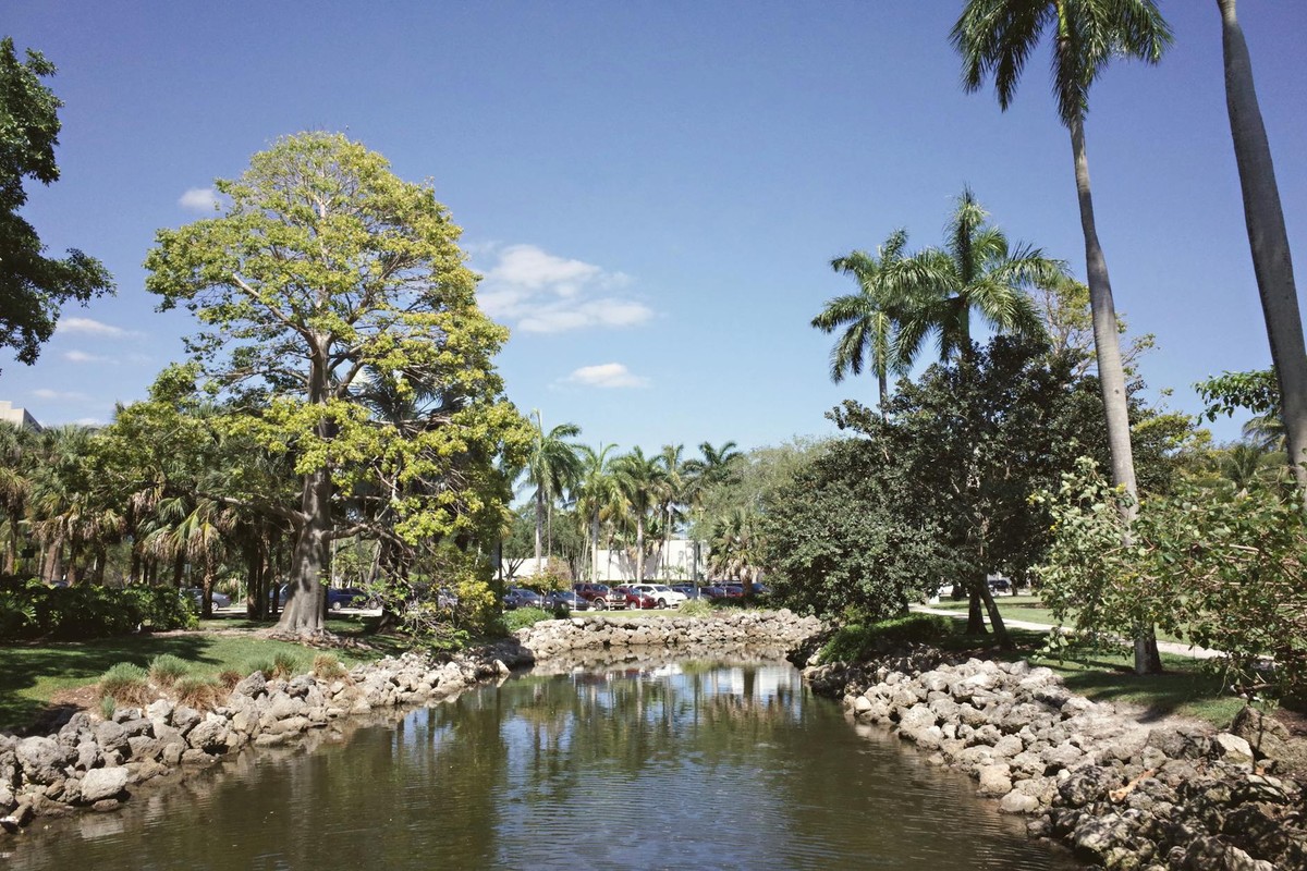 Beautiful and serene university campus landscape with lush greenery and water reflections in Coral Gables, Florida.