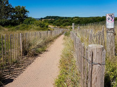 Explore the sandy path flanked by fences and wild vegetation at Dawlish Warren, UK.