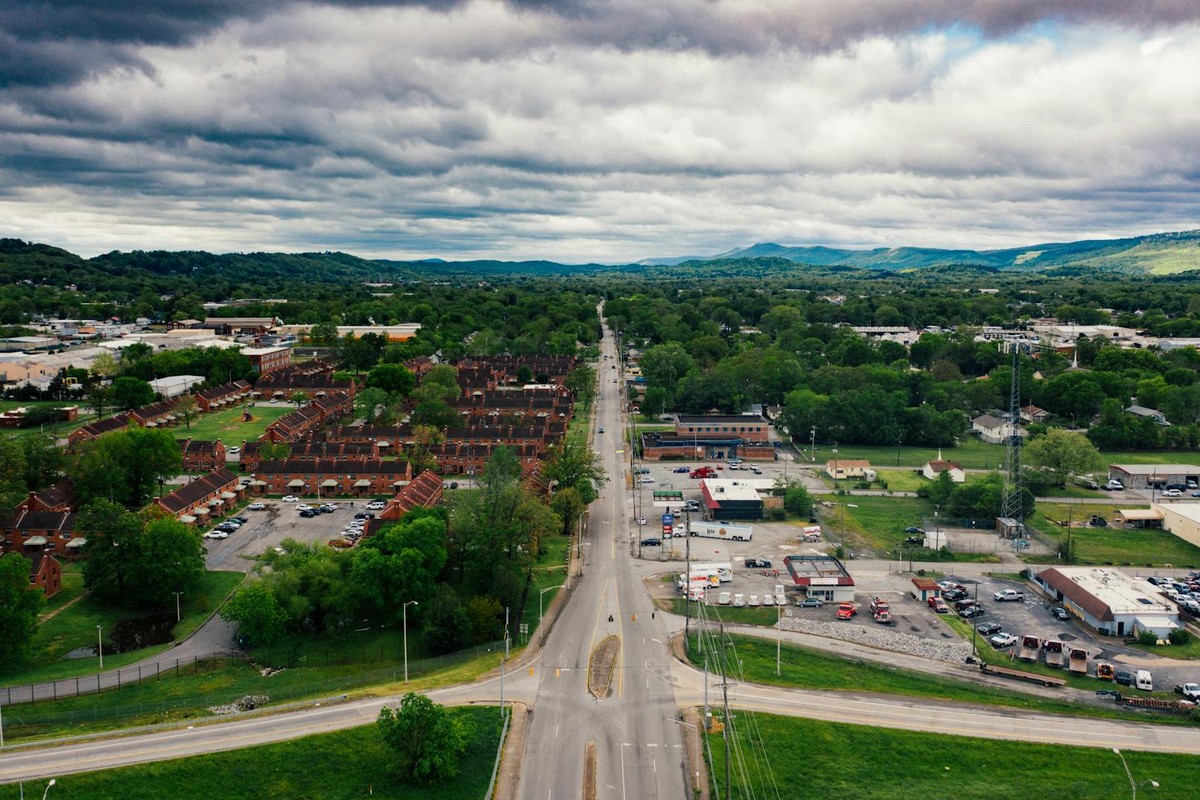 Aerial view of contemporary suburban settlement with narrow road and low level buildings amidst lush trees under scenic cloudy sky