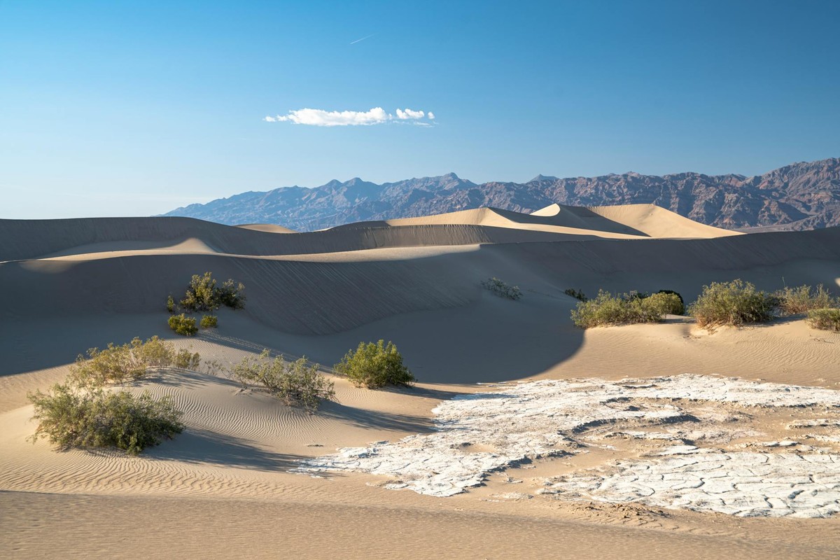 Beautiful scenic desert landscape featuring sand dunes under a clear blue sky.