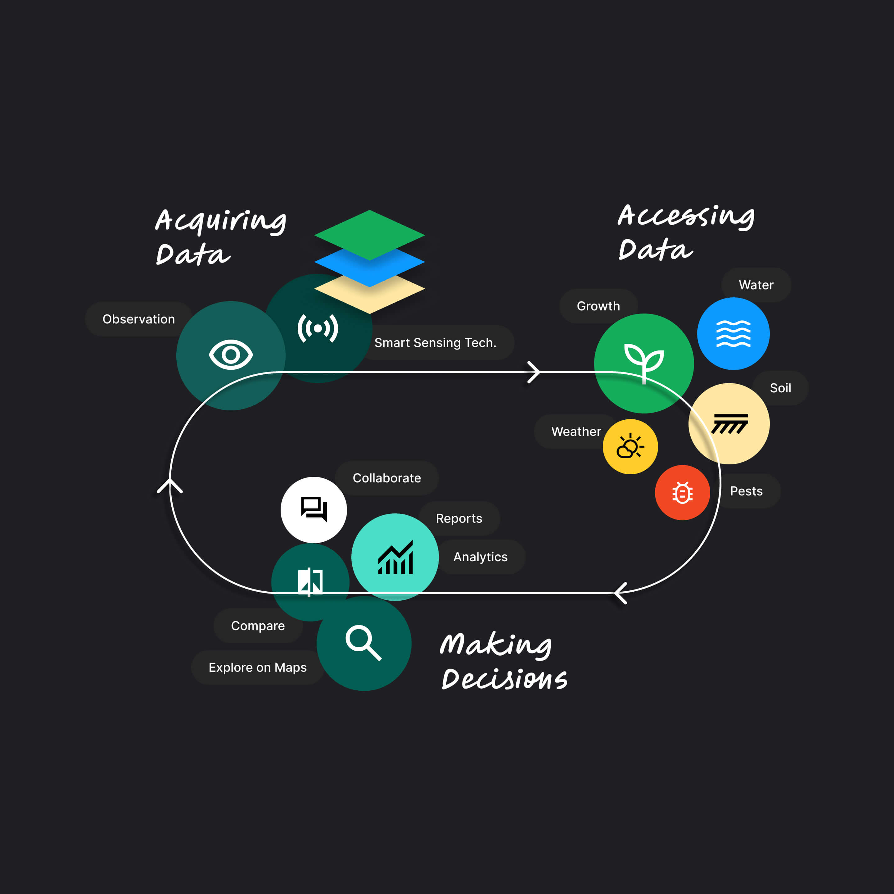 Diagram illustrating key steps in Fieldwise software: acquire data, analyze, define actions, implement precision interventions, measure impact for improved yield and efficiency.
