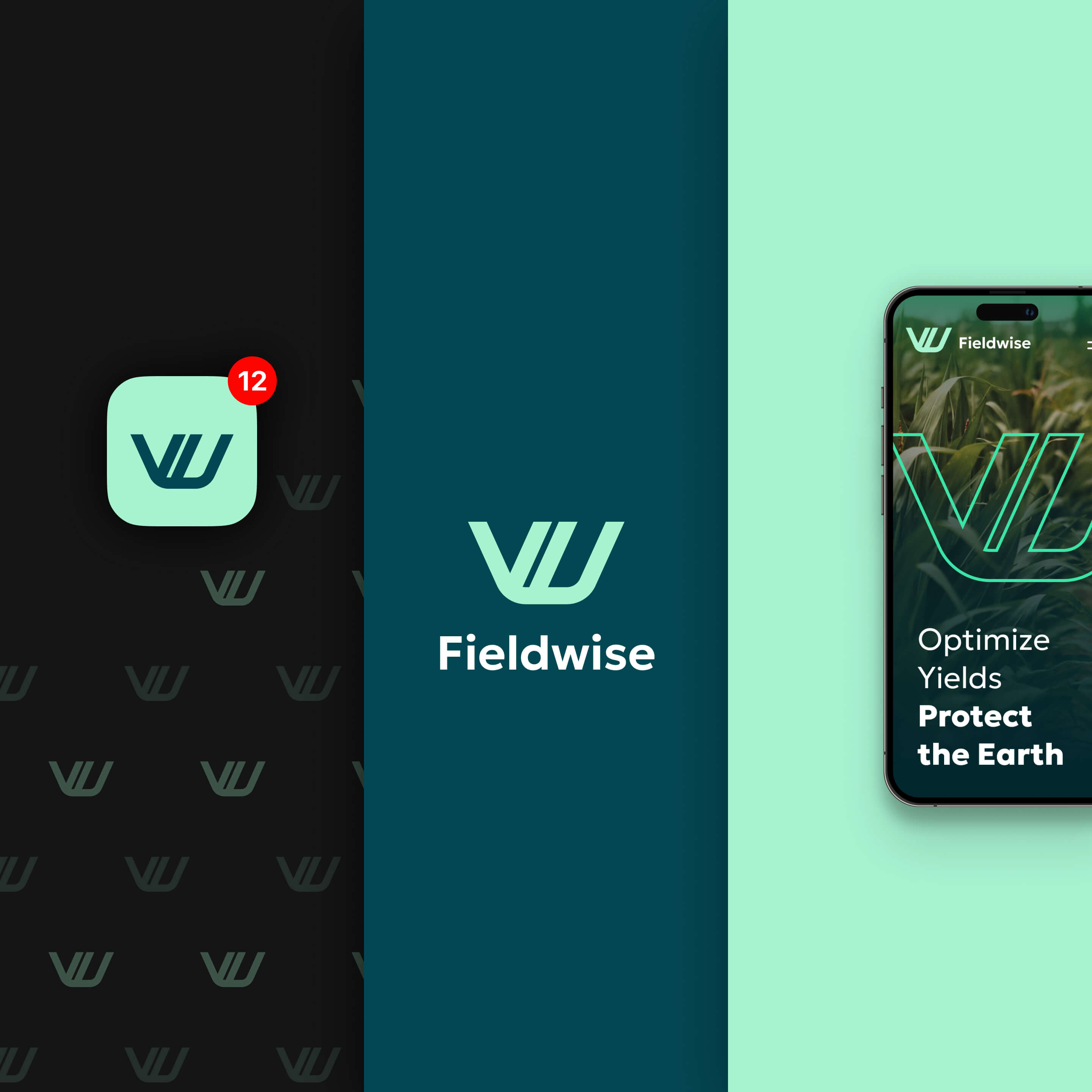 Overview of Fieldwise Service identity and branding.